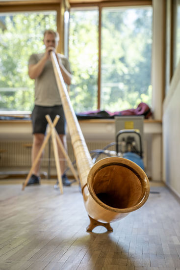 Immagine di Instrumentenbauen - Alphorn
