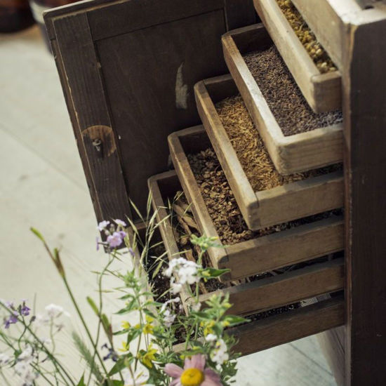 Bild von Führung Kräutergarten pauschal