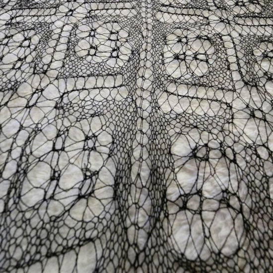 Image sur Stricken - Shetland Lace Technik