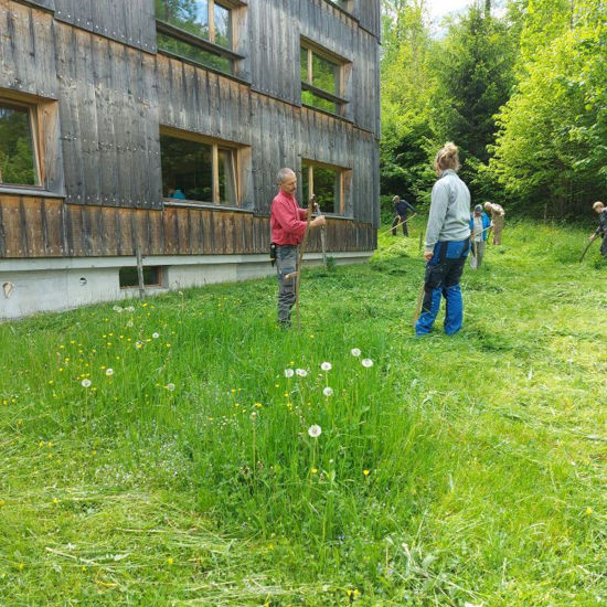 Picture of Mähen - Sense Grundkurs