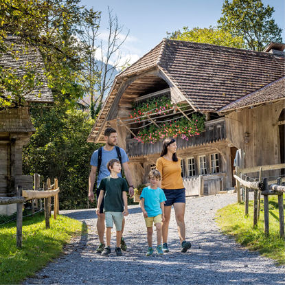 Picture of Family voucher day admission