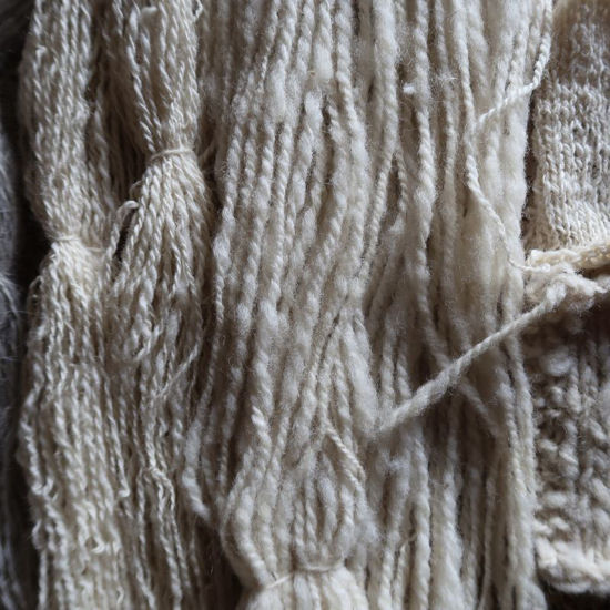 Image sur Spinnen - Grund- und Aufbaukurs