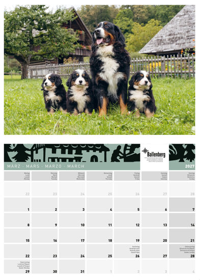 Immagine di Calendario 2027