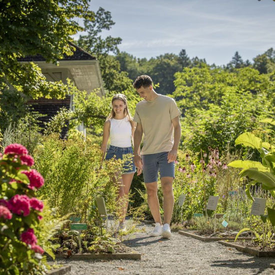 Bild von Führung Kräutergarten pauschal