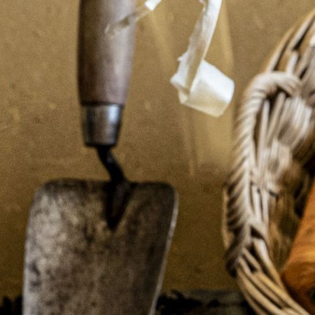 Bild für Kategorie März