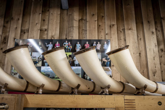 Immagine di Instrumentenbauen - Alphorn