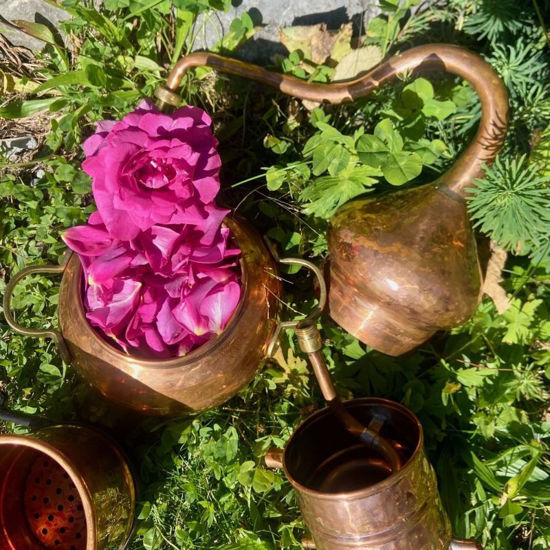 Image sur Destillieren von Pflanzenwasser