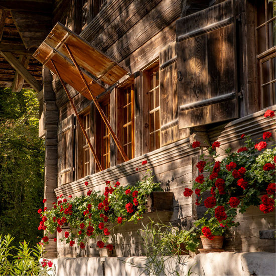 Image sur Bon d'achat en ligne CHF 40.00