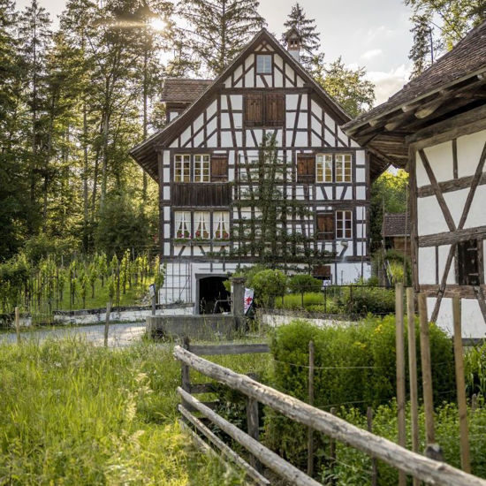 Immagine di Veredeln von Obstbäumen