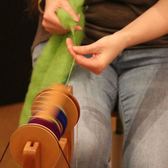 Bild von Spinnen - Schnupperkurs