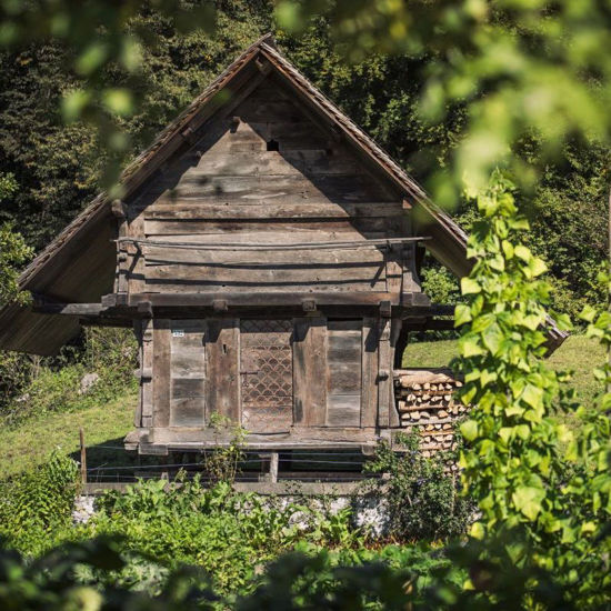 Bild von Führung Selbstversorgung pauschal