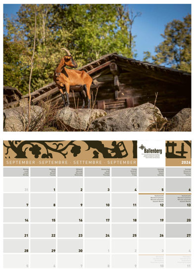 Picture of 2026 Calendar
