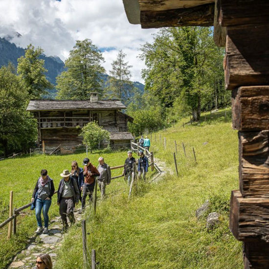 Immagine di Führung Pauschal