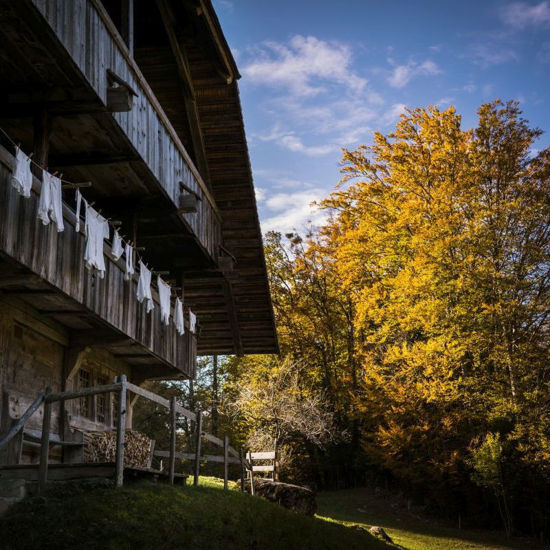 Bild von Führung Architektur pauschal