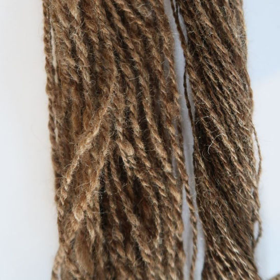 Image sur Spinnen - Grund- und Aufbaukurs