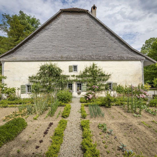 Immagine di Veredeln von Obstbäumen