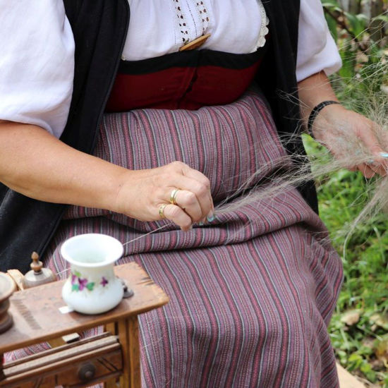 Immagine di Spinnen - Flachs