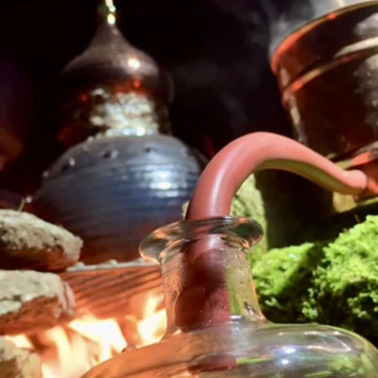 Image sur Destillieren von Pflanzenwasser