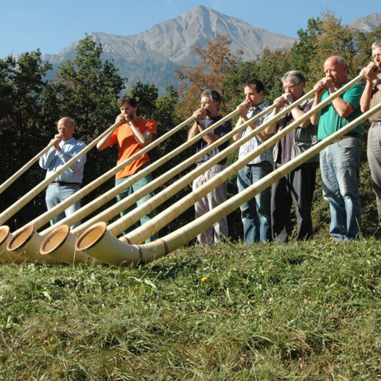 Picture of Instrumentenbauen - Alphorn