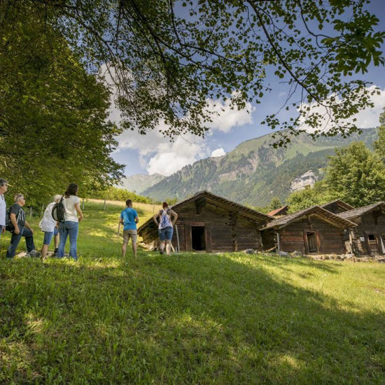 Immagine di Führung Pauschal