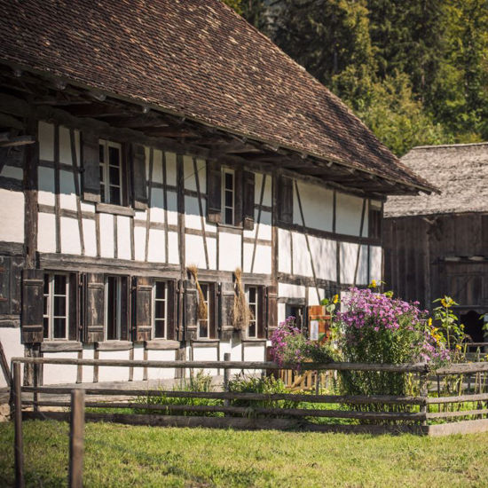 Image sur Seltene Orte, besondere Geschichten
