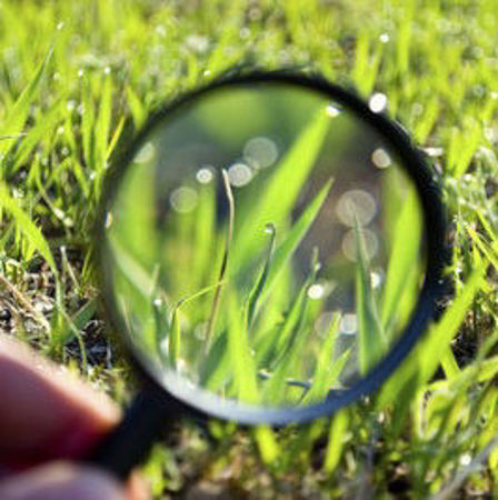 Immagine per la categoria Suche