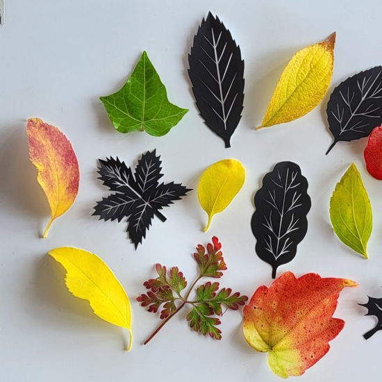 Image sur Scherenschnitt - Schnupperkurs