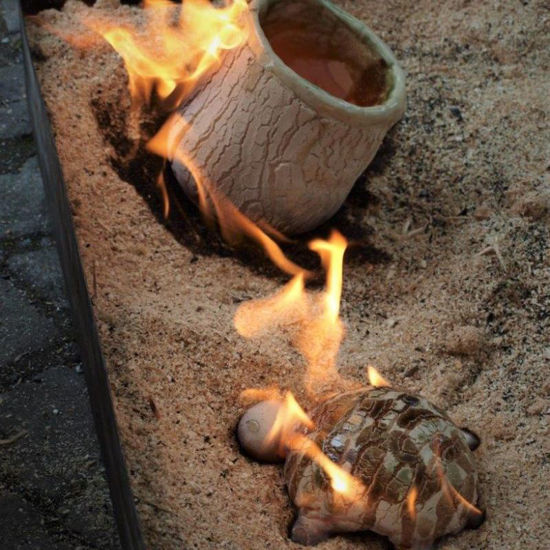 Bild von Töpfern - Raku (1 Tag Töpfern/Formen und 1 Tag Brennen)