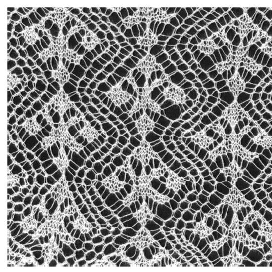 Immagine di Stricken - Shetland Lace Technik