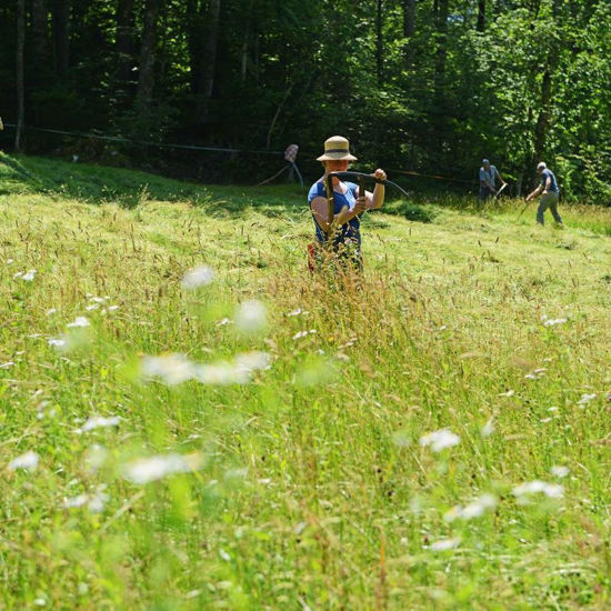 Picture of Mähen - Sense Grundkurs