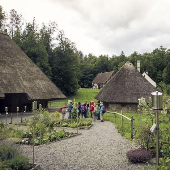Bild von Führung Kräutergarten pauschal