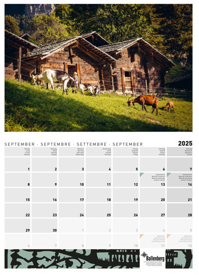 Picture of 2025 Calendar