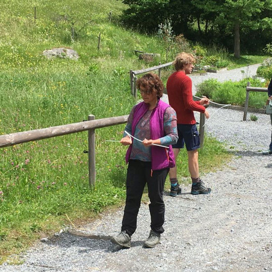 Picture of Pendeln und Ruten - Gehen - Auffrischungskurs