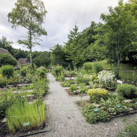 Image de la catégorie Jardin et santé