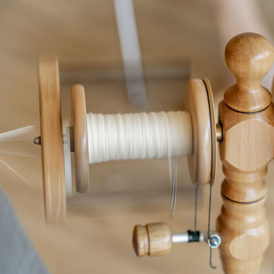 Picture of Spinnen - Grund- und Aufbaukurs
