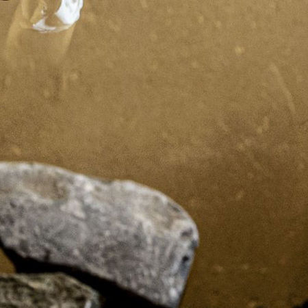 Bild für Kategorie Februar