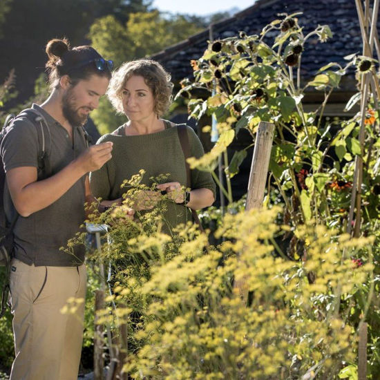 Bild von Führung Selbstversorgung pauschal
