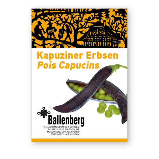 Bild von Kapuziner Erbse (Samen)